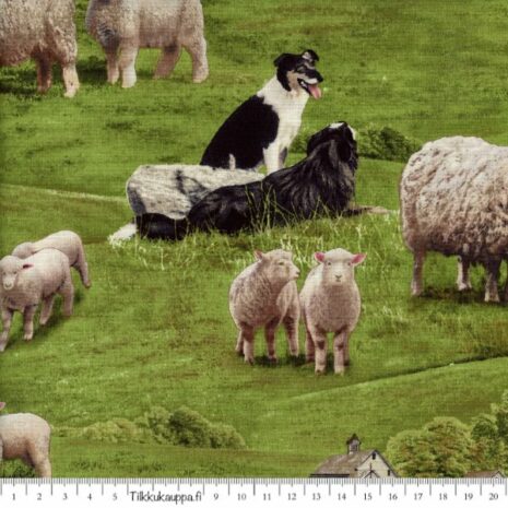 lammas kangas